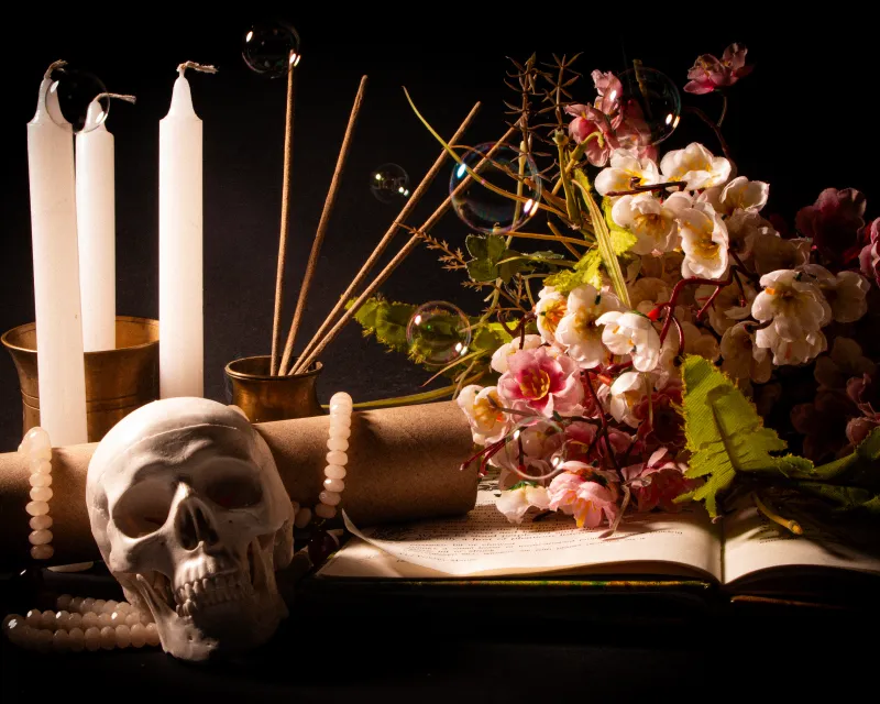 Where there are skulls, there are stories 