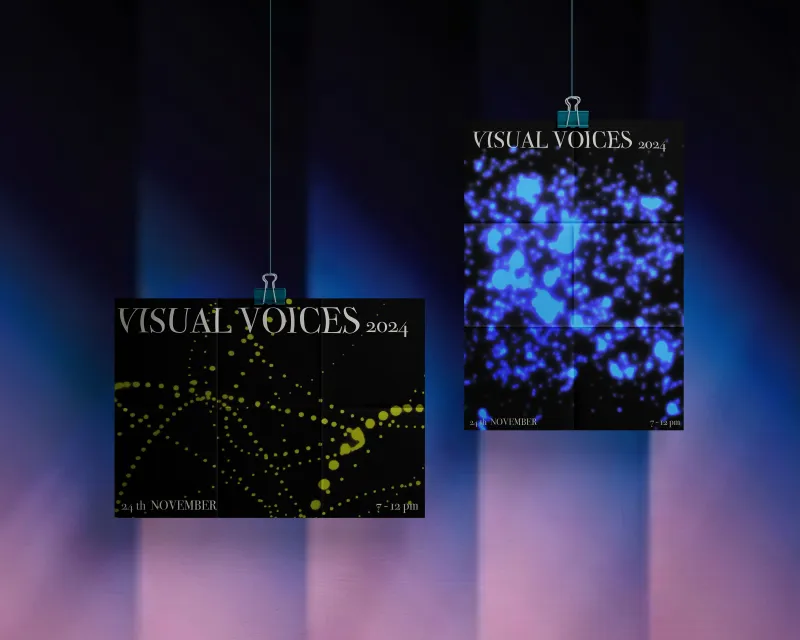 Project Visual